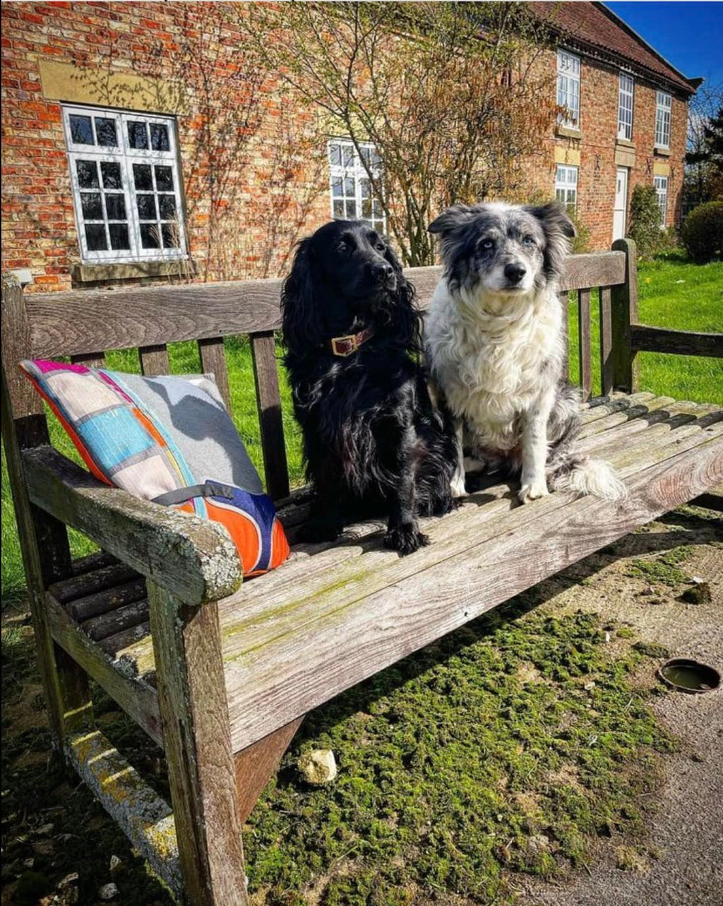 Keepsake Dog Cushion