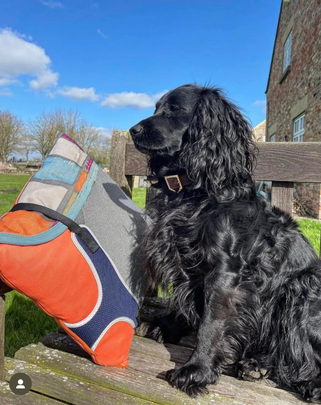 Keepsake Dog Cushion