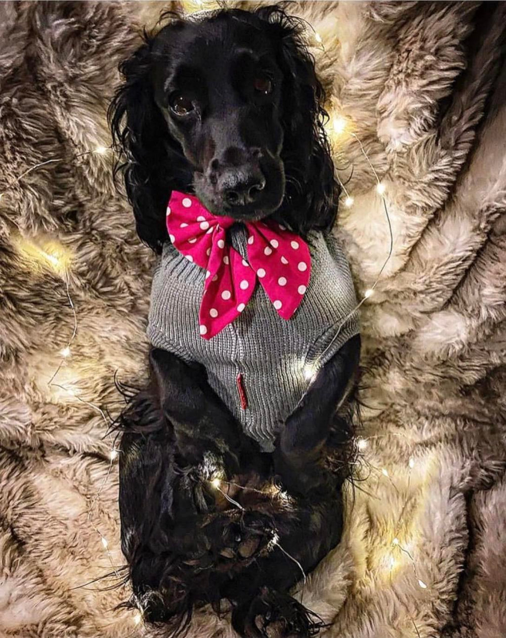 Keepsake Dog Cushion