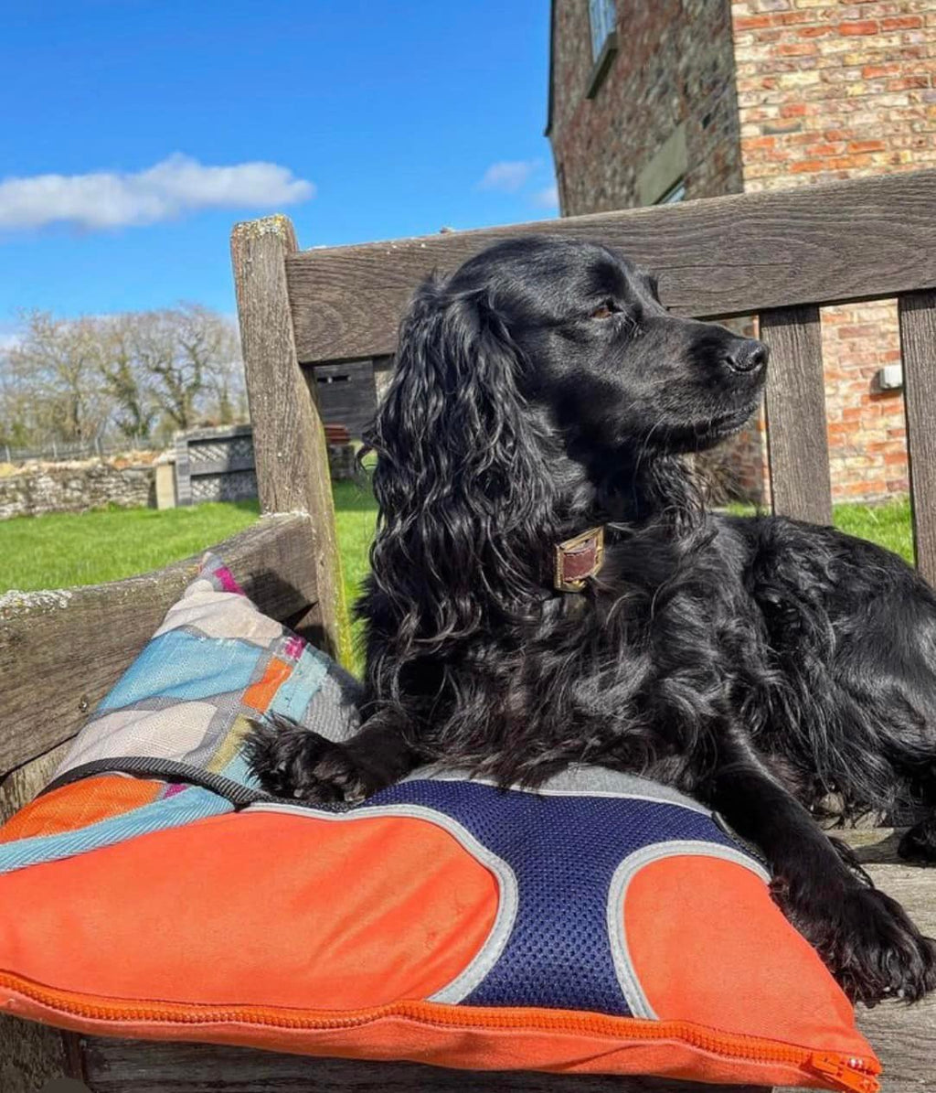 Keepsake Dog Cushion